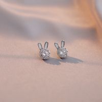 Mignon Animal Acier Au Titane Incruster Zircon Femmes Anneaux Des Boucles D'oreilles Collier main image 3