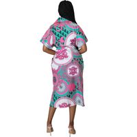 Femmes Robe Chemise Décontractée Refuser Impression Manche Courte Fleur Robe Mi-longue Du Quotidien main image 5
