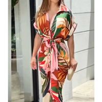 Women's Irregular Skirt Elegant Shirt Collar Printing Belt Short Sleeve Flower Maxi Long Dress Street main image 5