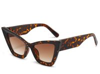 Streetwear Solid Color Pc Cat Eye Full Frame Women's Sunglasses sku image 7
