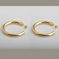 1 Pair Simple Style C Shape Plating Titanium Steel 18k Gold Plated Ear Studs sku image 1
