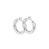 Simple Style Solid Color Stainless Steel Hoop Earrings 1 Pair sku image 23