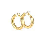 Simple Style Solid Color Stainless Steel Hoop Earrings 1 Pair sku image 24