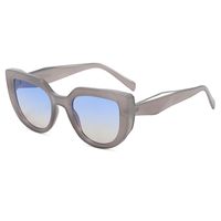 Retro Leopard Ac Cat Eye Full Frame Women's Sunglasses sku image 1