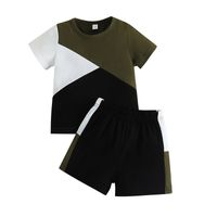 Casual Color Block Polyester Boys Clothing Sets sku image 6