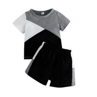 Casual Color Block Polyester Boys Clothing Sets main image 4