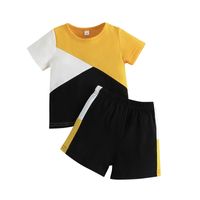 Casual Color Block Polyester Boys Clothing Sets sku image 11