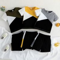 Casual Color Block Polyester Boys Clothing Sets main image 1