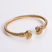 304 Stainless Steel 18K Gold Plated Hip-Hop Plating Wolf Skull Dragon No Inlaid Bangle sku image 1