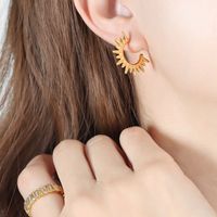 1 Paire Style Simple Forme C Placage Acier Au Titane Plaqué Or 18k Boucles D'oreilles main image 6