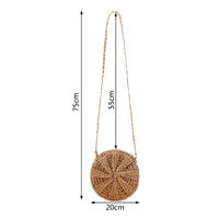 Women's Medium Straw Solid Color Basic Round Zipper Crossbody Bag main image 3