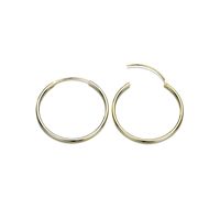 Fashion Geometric Stainless Steel No Inlaid 14K Gold Plated Earrings sku image 4