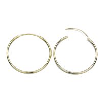 Fashion Geometric Stainless Steel No Inlaid 14K Gold Plated Earrings sku image 10