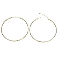 Fashion Geometric Stainless Steel No Inlaid 14K Gold Plated Earrings sku image 12