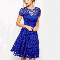 Women's A-line Skirt Lace Dress Basic Simple Style Round Neck Lace Short Sleeve Solid Color Above Knee Family Gathering Party Festival main image 4