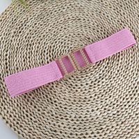 Ethnic Style Solid Color Plastic Straw Woven Belt Women's Woven Belts main image 4
