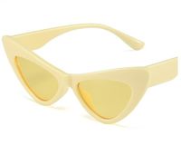 Retro Geometric Ac Cat Eye Full Frame Women's Sunglasses sku image 7