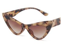 Retro Geometric Ac Cat Eye Full Frame Women's Sunglasses sku image 2