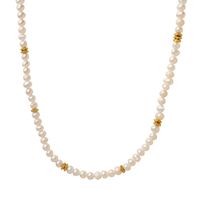Elegant Irregulär Süßwasserperle Titan Stahl Perlen Überzug Halskette main image 4