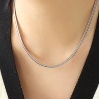 1 Pièce Style Simple Couleur Unie Acier Au Titane Placage Collier sku image 1