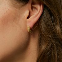 1 Paar Einfacher Stil Einfarbig Kupfer Überzug Vergoldet Ohrringe main image 3