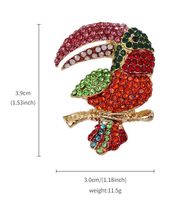 Lindo Pene Pájaro Aleación Embutido Diamantes De Imitación Mujeres Broches sku image 17