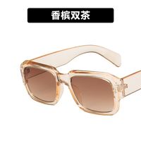 Cross-border European And American Large Frame Mi Nail Sunglasses  New Personalized Polygon Ins Simple Vintage Sunglasses Trend sku image 6