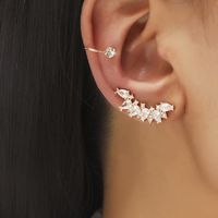 1 Set Classic Style Leaf Star Copper Inlay Zircon Earrings main image 4