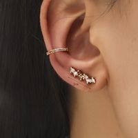 1 Jeu Style Classique Feuille Star Le Cuivre Incruster Zircon Des Boucles D'oreilles sku image 5