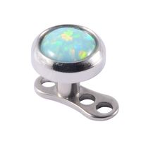 Wholesale Simple Style Round Stainless Steel Artificial Gemstones Buried Bone Nail Skin Nail main image 2