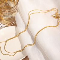 Rostfreier Stahl 18 Karat Vergoldet Weißgold Plattiert Einfacher Stil Überzug Einfarbig Geschichtete Halskette main image 4
