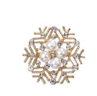 Elegant Bicycle Flower Snowflake Imitation Pearl Alloy Inlay Rhinestones Women's Brooches sku image 5