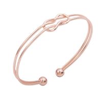 Stainless Steel Metal Fashion Plating Inlay Heart Shape Feather Bow Knot Zircon Bangle sku image 16