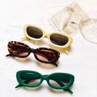 Fashion Solid Color Leopard Pc Uv400 Resin Oval Frame Full Frame Women's Sunglasses main image 5