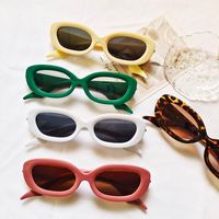 Fashion Solid Color Leopard Pc Uv400 Resin Oval Frame Full Frame Women's Sunglasses main image 6