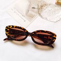 Fashion Solid Color Leopard Pc Uv400 Resin Oval Frame Full Frame Women's Sunglasses sku image 6