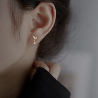 1 Pair Simple Style Leaf Sterling Silver Plating Inlay Zircon Ear Studs main image 3