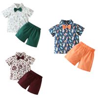 Easter Casual Printing Cotton Boys Clothing Sets main image 4