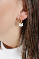 1 Pair Fashion Round Stainless Steel Inlay Shell Drop Earrings main image 10