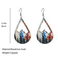 1 Pair Fashion Geometric Water Droplets Wood Women's Drop Earrings main image 3