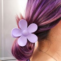 Simple Style Flower Plastic Resin Printing Hair Claws 1 Piece main image 5