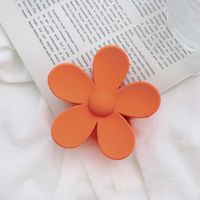 Einfacher Stil Blume Kunststoff Harz Drucken Haarkrallen 1 Stück sku image 2