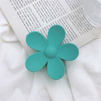 Simple Style Flower Plastic Resin Printing Hair Claws 1 Piece sku image 7