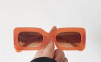 Moda Color Sólido C.a. Cuadrado Fotograma Completo Gafas De Sol Mujer sku image 8