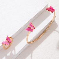 2 Pieces Fashion Butterfly Alloy Inlay Resin Women's Rings Bracelets main image 4