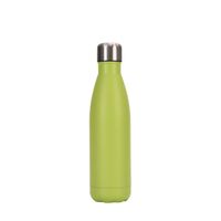 Casual Solid Color Stainless Steel Water Bottles 1 Piece sku image 4