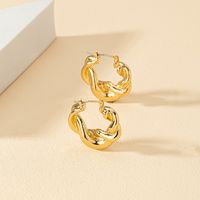 1 Pair Fashion Round Twist Alloy Plating Women's Hoop Earrings main image 1