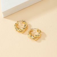 1 Pair Fashion Round Twist Alloy Plating Women's Hoop Earrings main image 5