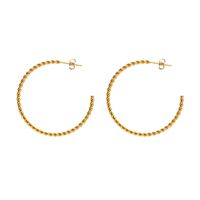 1 Paire Style Simple Forme C Tourner Placage Acier Inoxydable 304 Plaqué Or Boucles D'Oreilles main image 5