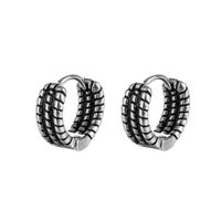 1 Piece Fashion Solid Color Titanium Steel Plating Women's Earrings main image 4